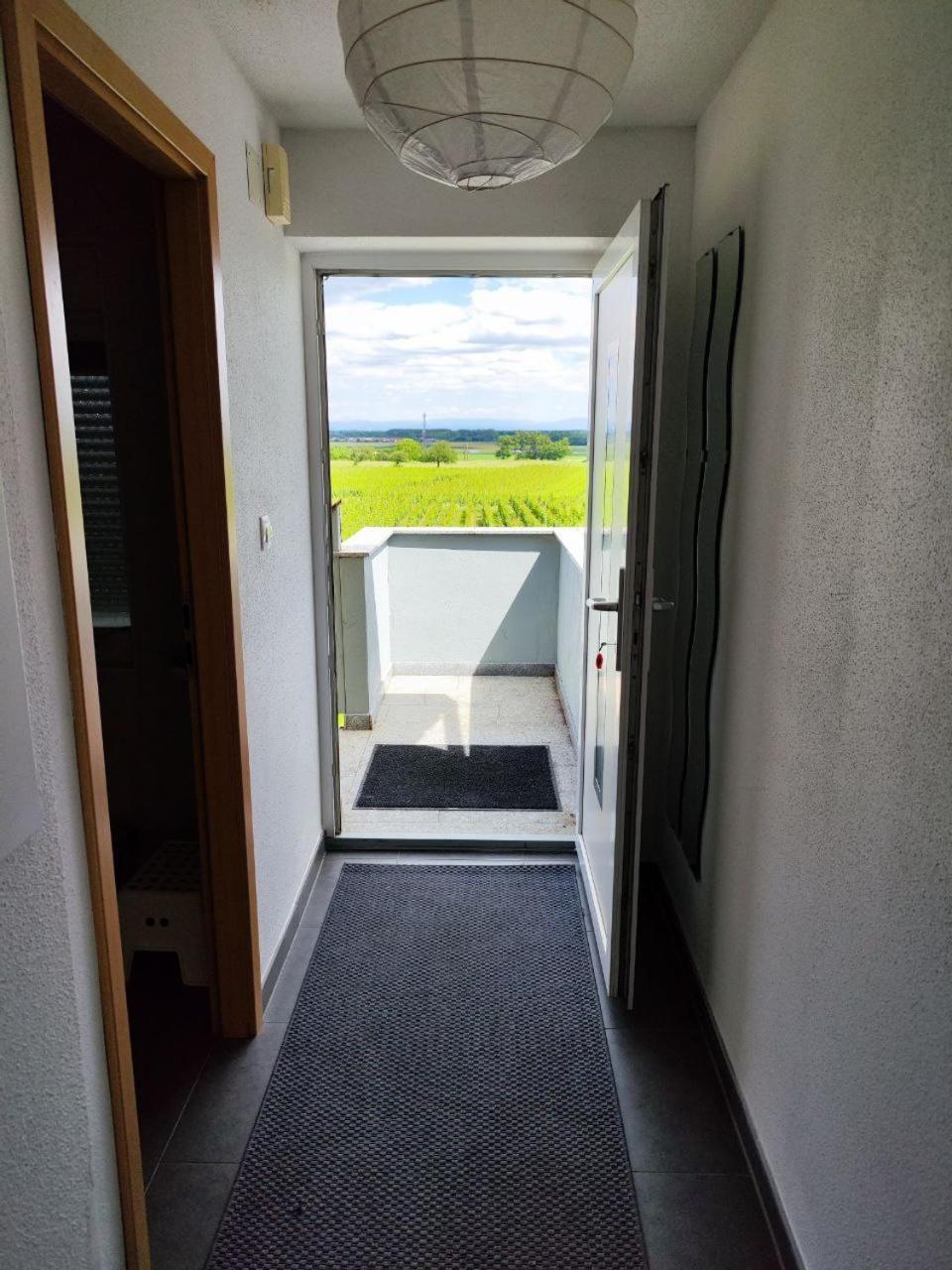 Bel Appartement En Centre Alsace Kintzheim Luaran gambar